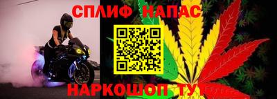 стаф Свободный
