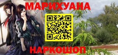 дмт Славгород