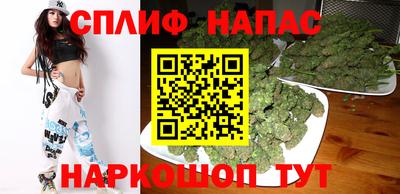 дмт Славгород